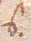 s-terminal